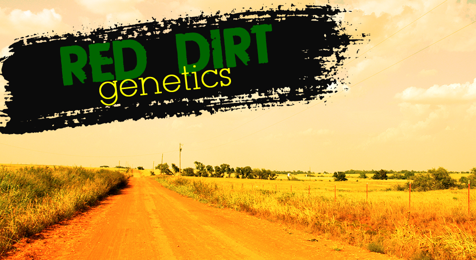 Red Dirt Genetics