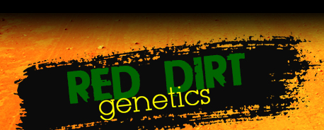 Red Dirt Genetics